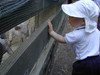 DSCN0907.JPG