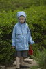 990S1710.jpg