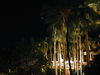 DSCN0082.JPG