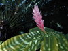 DSCN0105.JPG