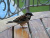 DSCN0122.JPG