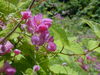 DSCN0159.JPG