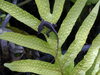 DSCN0160.JPG