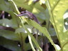 DSCN0163.JPG