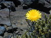 Dscn0238.jpg