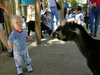 Dscn0959.jpg