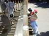 Dscn0968.jpg