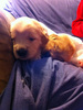 Teddy3Weeks10